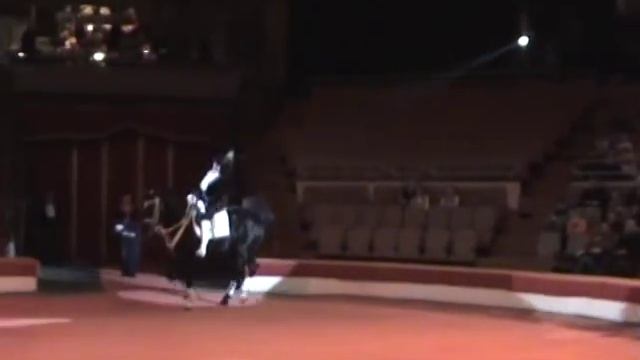 Высшая школа верховой езды  www.ukrcircus.com