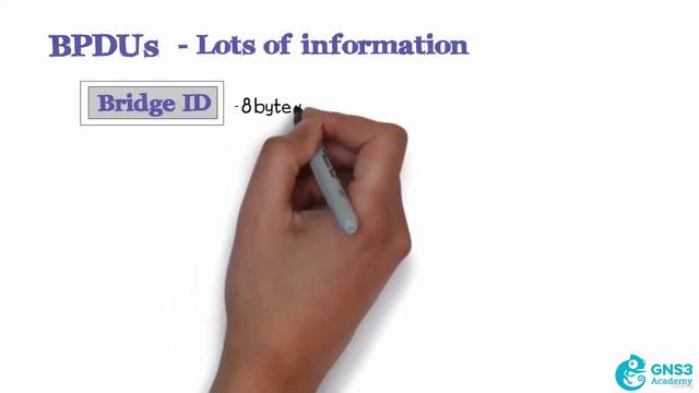 04 BPDUs and Bridge IDs смотреть онлайн