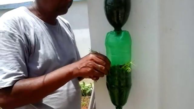 Tree planting in hanging bottles on wall смотреть онлайн