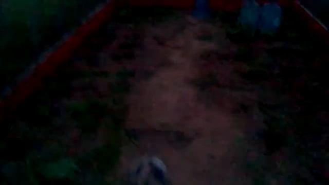 Освещение в теплице смотреть онлайн