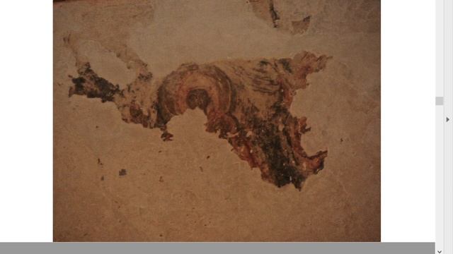 Вебинар Т.В. Шулаковой 19.05 смотреть онлайн