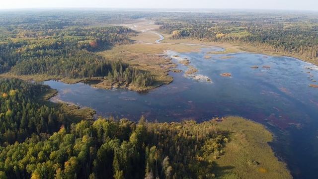 Деревня Чикино, Чикинское озеро, река Оредеж смотреть онлайн