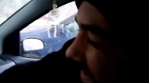 Hyundai Getz актуатор , ЦЗ не работает с брелка