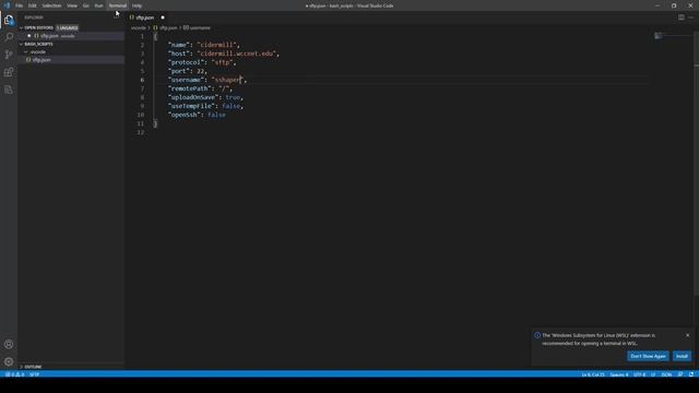Using VSCode to write bash scripts смотреть онлайн