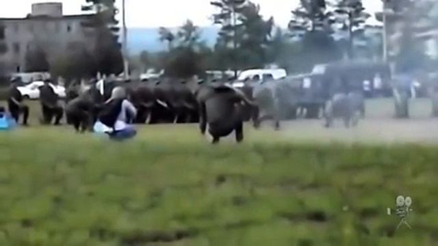 2 августа День ВДВ в Бурятии смотреть онлайн