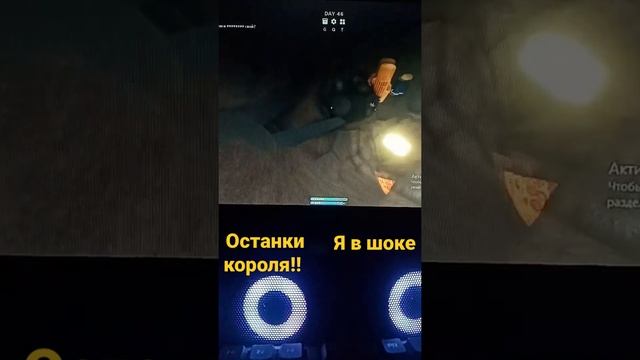 останки короля в scp 3008 смотреть онлайн