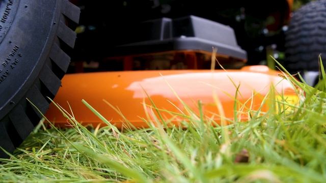 Transforming Chris Hollins' Garden With A STIHL Ride On Mower | STIHL GB смотреть онлайн