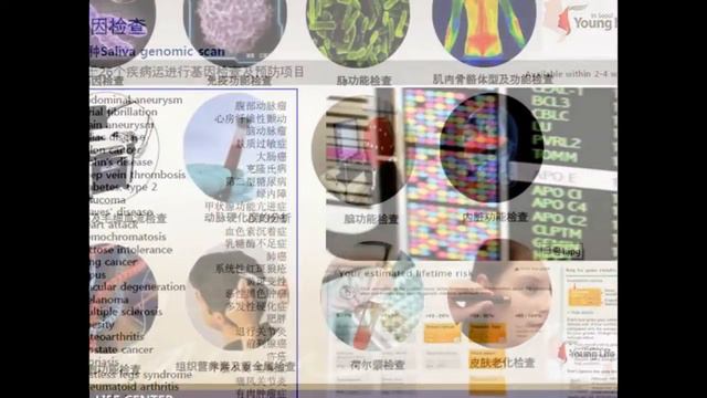 Чем занимается компания Young Life in Seoul（美在首尔）? смотреть онлайн