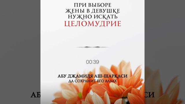 про выборе жены в девушке нужно искать целомудрие. Абу Джамиля аш Шаркаси
