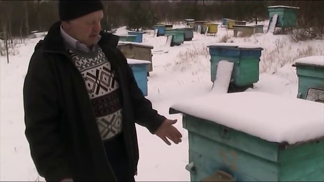 ВЕНТИЛЯЦИЯ УЛЬЕВ смотреть онлайн