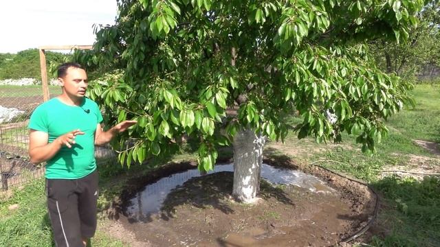 Готовка в Кемпинге и на Походах