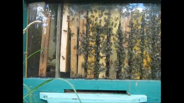 Что такое  дымарь и зачем он нужен