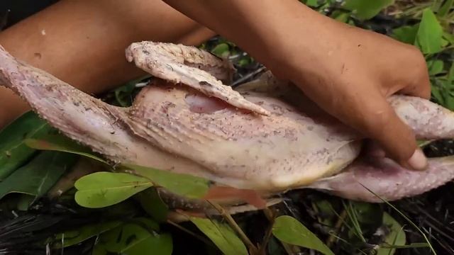 Survival skills: Catch chicken for food in forest- Chicken spicy grilled for dinner eating deliciou смотреть онлайн