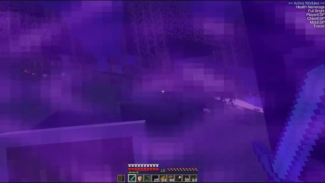 I USE TRACER HACKS FOR 1ST TIME!! | OLDEST SERVER IN MINECRAFT #11 смотреть онлайн