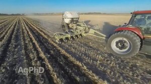 Технология Strip till  Выбор  стойки или диски