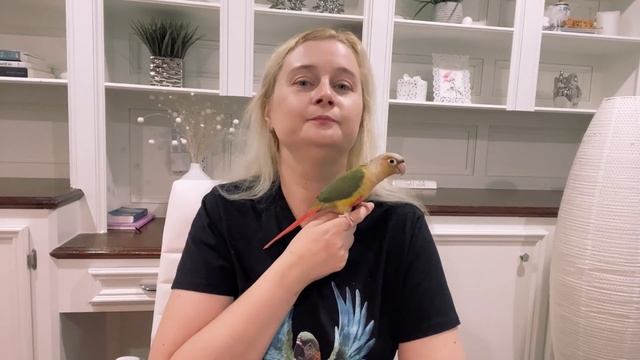 ПОДРЕЗАНИЕ МАХОВЫХ ПЕРЬЕВ НА КРЫЛЬЯХ У ПОПУГАЕВ смотреть онлайн