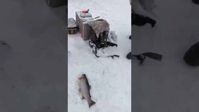 РЫБАЛКА В ЮДИНО смотреть онлайн