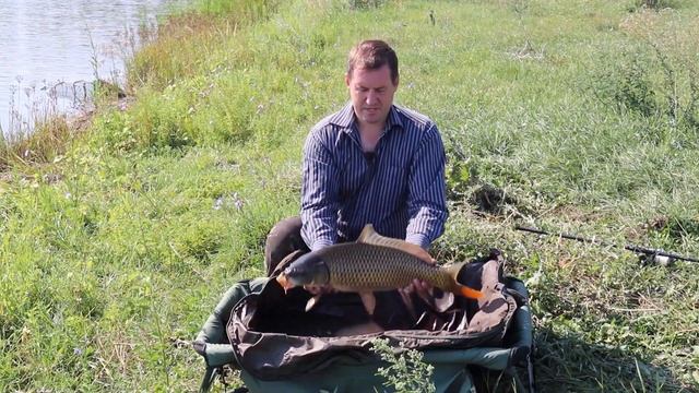 Рыбалка на сазана на диком водоеме в завоз смотреть онлайн