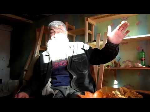 Сказка о временных пристанищах. смотреть онлайн