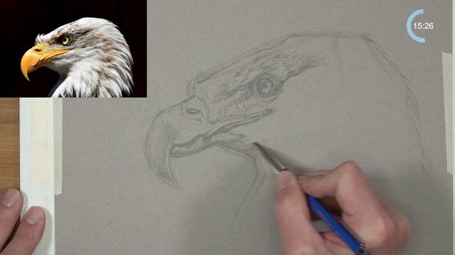How to Draw an EAGLE - Timed Sketching Exercise смотреть онлайн