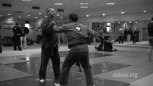 Fubuki, Kukishin ryu Dakentaijutsu - Ninjutsu technique for Akban wiki смотреть онлайн