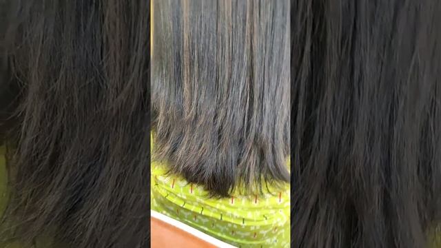 ROYAL IGORA highlights | with studio blonde prilightening | Medium Blonde Chocolate Gold | смотреть онлайн