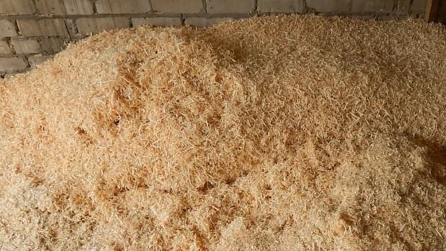 Какова природа зарождения песка? смотреть онлайн