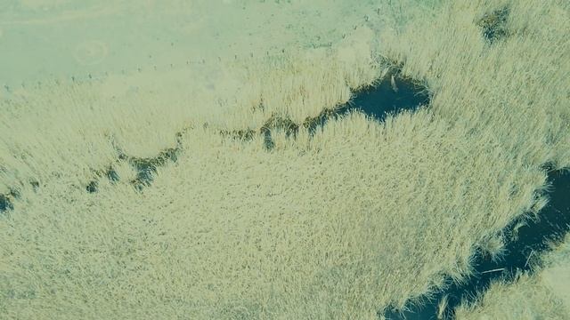 Ерик Казачий - Астрахань 2020 смотреть онлайн