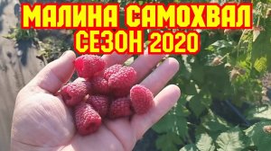 Малина САМОХВАЛ