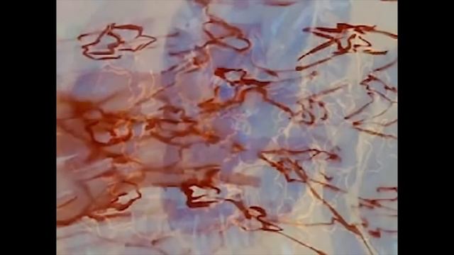 Lars Von Trier: The Intertitles смотреть онлайн