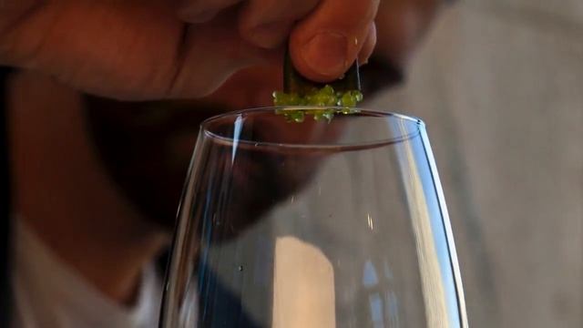 ФРУКТОВАЯ ИКРА ДЛЯ ВЕГАНОВ? ЛЮДИ ВЫСТРАИВАЮТСЯ В ОЧЕРЕДИ ЗА ЭТИМ ДЕЛИКАТЕСОМ! смотреть онлайн