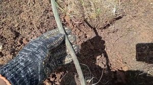 КОП МЕДНОГО КАБЕЛЯ ДЛИНОЮ В КИЛОМЕТР результат шокировал !!!