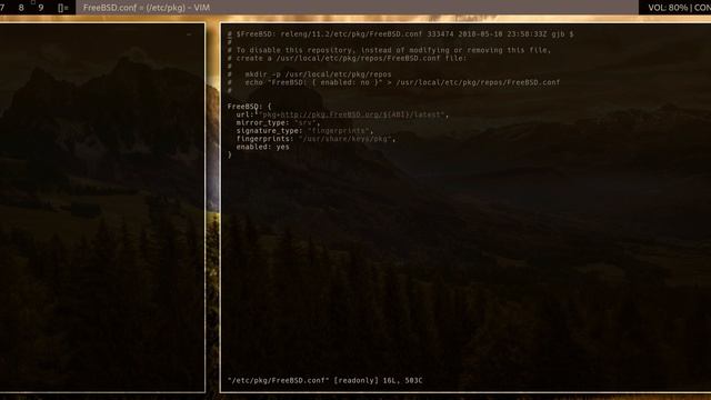 Why I use FreeBSD (Part 2): poudriere (jails package builder) смотреть онлайн