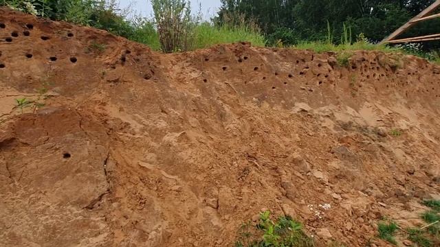 Слияние двух рек! Медведица и Волга! смотреть онлайн