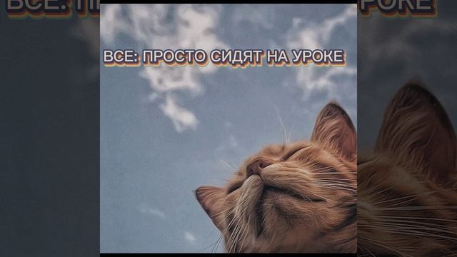 °школа°