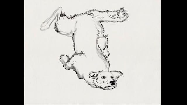 Petty Sketch #22 | Doggo Fail quick sketch смотреть онлайн