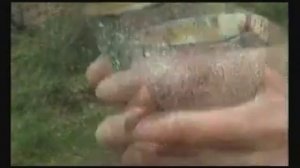 "Адонай" (Христианская песня) - Adonai (The Lord)