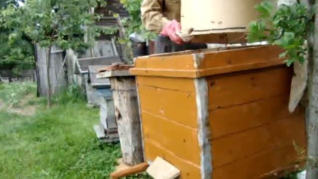 Первый рой пчел смотреть онлайн