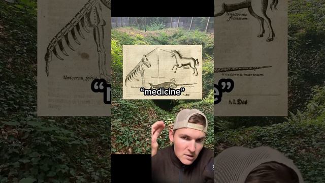 Worst fossil reconstruction ever?🥴 смотреть онлайн