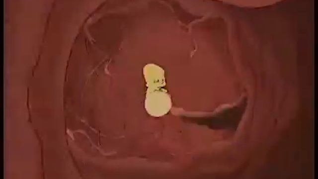 Ay Caramba Compilation