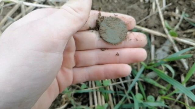 STŘÍBRŇÁK A NĚMECKÁ PŘEZKA na výročí. #metaldetecting #detektorkovů #finding #wwii #silvercoin смотреть онлайн