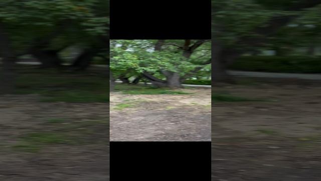 21-08-2024 смотреть онлайн