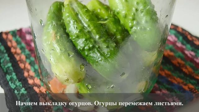 Маринованные огурцы с хреном смотреть онлайн