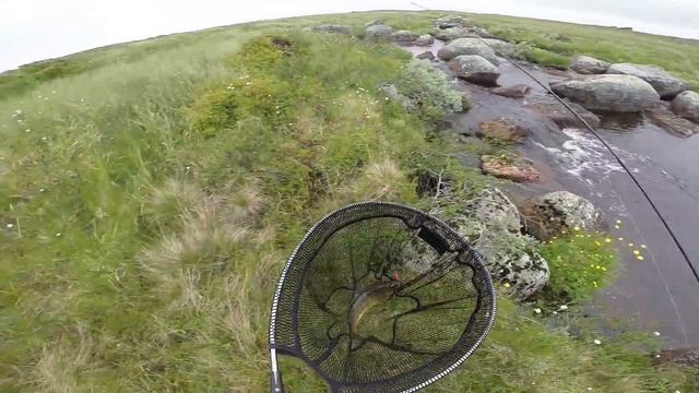 Рыбалка на Кольском. Безымянные озера в тундре смотреть онлайн