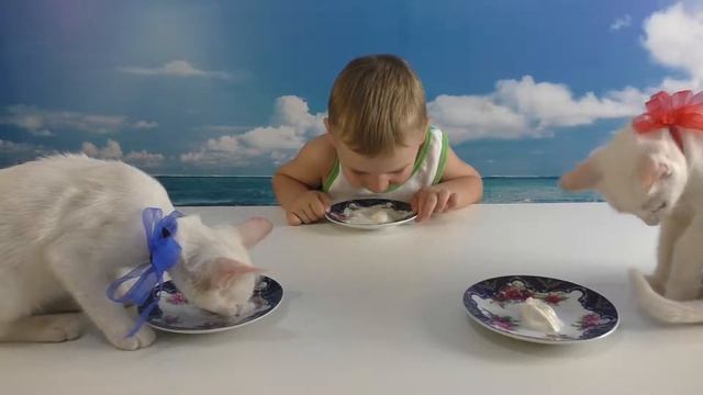 ☻ ЧЕЛЛЕНДЖ С КОТЯТАМИ НА СКОРОСТЬ КТО БЫСТРЕЕ!!! Кушаем и пьем по кошачьи! Challenge with kittens смотреть онлайн
