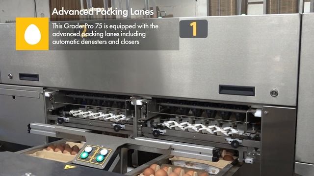 Egg Grading and Packing Machine - GraderPro 75 - SANOVO TECHNOLOGY GROUP. смотреть онлайн