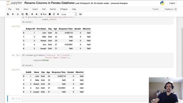 How to Rename Columns in Pandas DataFrame смотреть онлайн