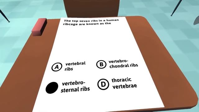 I Am The Best Cheater - Classroom Aquatic смотреть онлайн