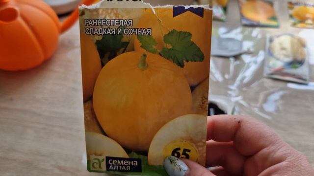 Как сажать дыни.Сорта:"Колхозница","Медовая лакомка","Крем-брюле","Таманская" смотреть онлайн