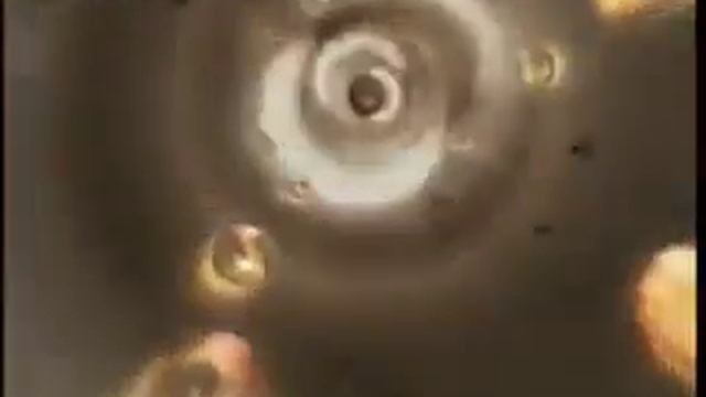 Schwarzkopf Extra Care Total Repair